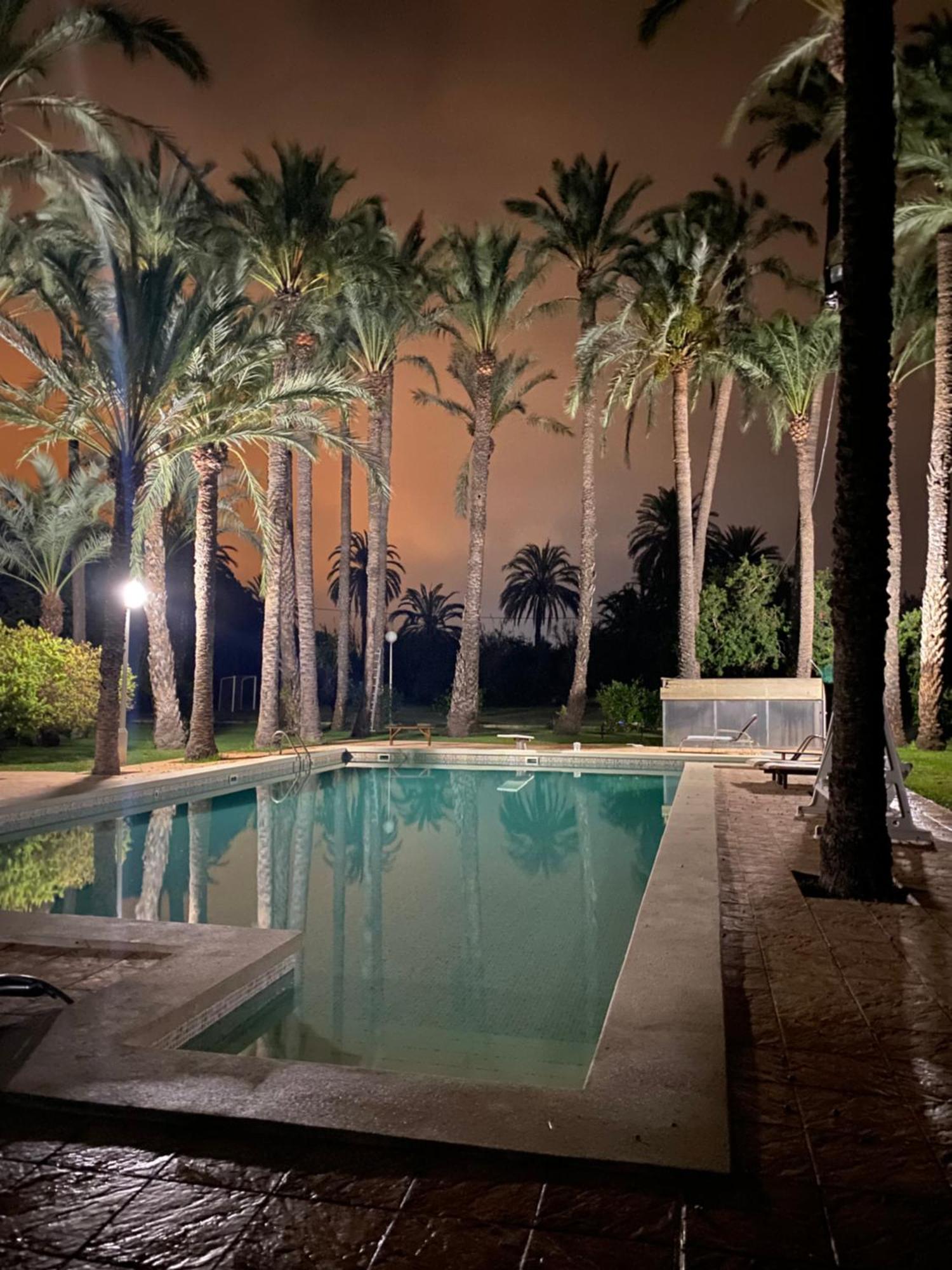 Pink Lemon House Bed & Breakfast Elche Exterior photo