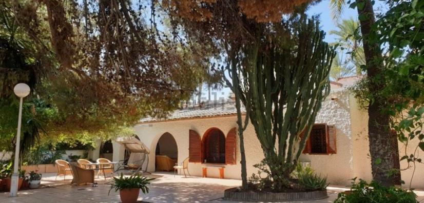 Pink Lemon House Bed & Breakfast Elche Exterior photo